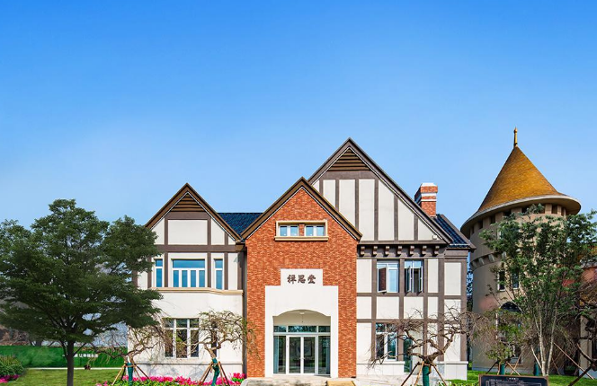 自然资源部准备通过专项债券支持政府回收房企闲置用地