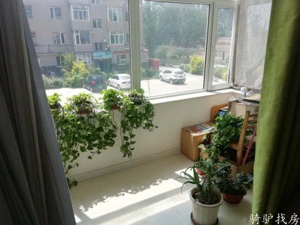 c608ce7c83a04bb4a038b53e18dc336a