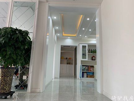 10ba657239954d8e8c235c8aa2639d16