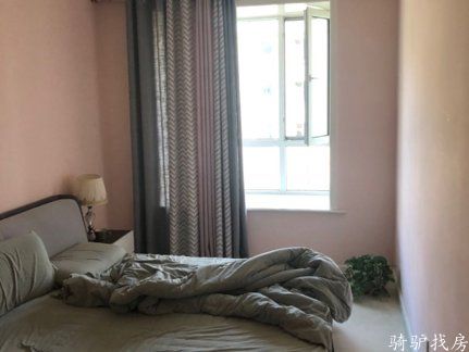 c2078ef2d8824864a153f24807f53896