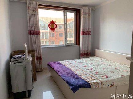 291886e17a504f3b839f1256ed1daad2