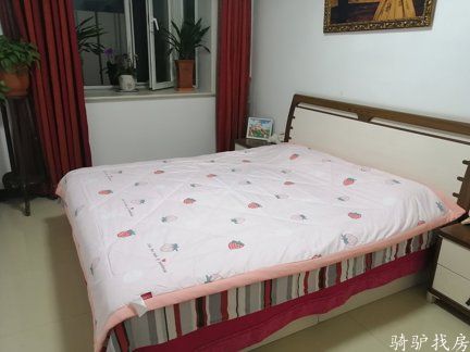 f3d8051e029246cbb29e6234a8d564bb