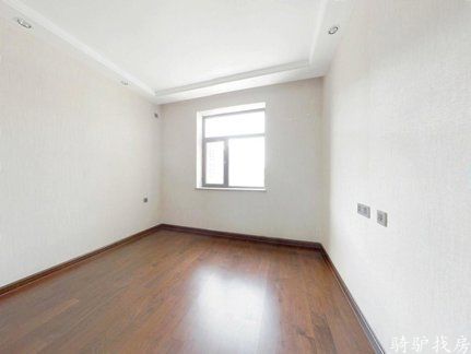 54adfc2401e64432a383ed01f6d3948e