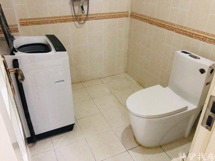 a56559d02db74cc88d43a8854b35c063