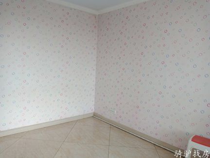 c58e35bd65ce438498da0a19deb81817