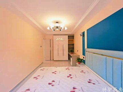 202011262129138294156