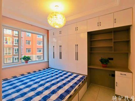 202011262129194387805