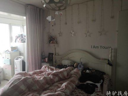 61bde49b651946fc992a1bd5a4c29fc9