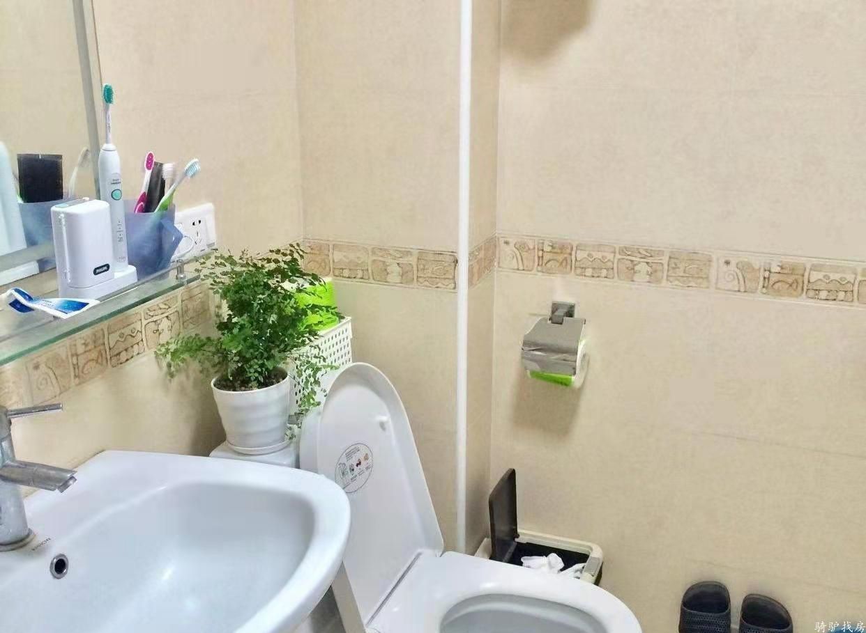 3c629852b31653fb46f65cade75fb45a (1)