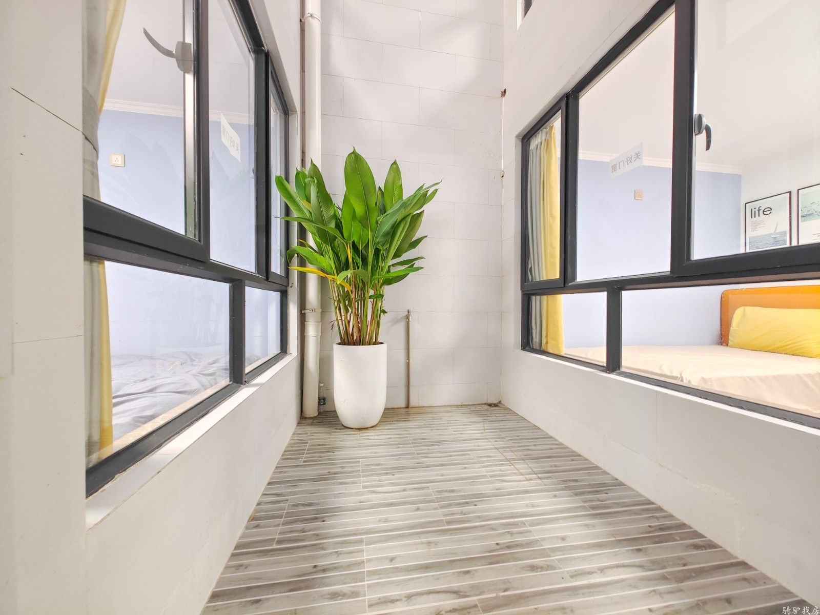 356924b1db78b04a28cb5c8be124acd6